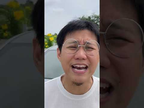 โพนี่ยักษ์ โพนี่ยักษ์