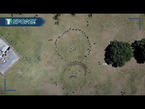 El INCREÍBLE homenaje a Diego Armando Maradona