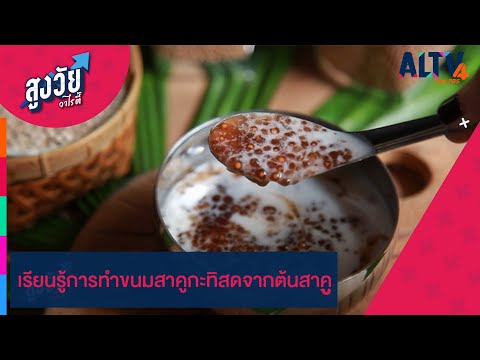 เรียนรู้การทำขนมสาคูกะทิสดจากต