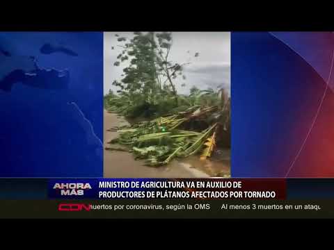 Ministro de Agricultura va en auxilio de productores de plátanos afectados por tornado