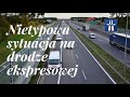 Nietypowa sytuacja na drodze ekspresowej