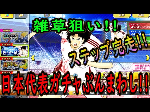 【たたかえドリームチーム】No.231 雑草野郎が欲しい！フルステップ完走日本代表ガチャぶんまわし【キャプテン翼】【ガチャ】