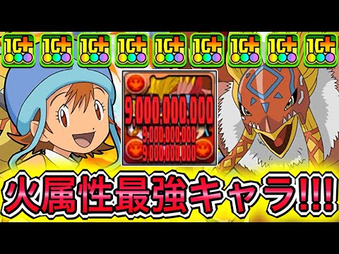 【最強】まだ誰も気づいてない隠れぶっ壊れキャラ！？ 『武之内空&ガルダモン』の性能が破格すぎて弱点がなさすぎる！！！！ 【パズドラ デジモン コラボ 武之内空&ピヨモン 武之内空&バードラモン】