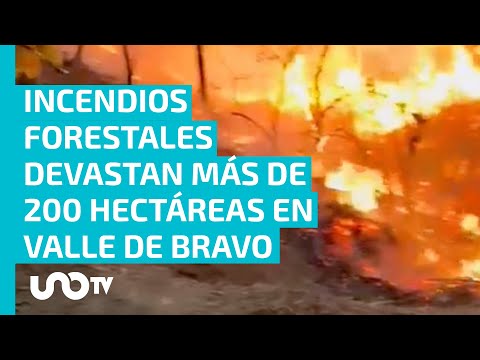 Solidaridad en Valle de Bravo: Instalan centro de acopio para brigadistas