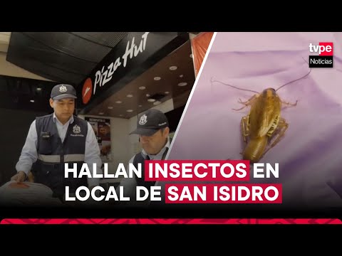 San Isidro: local de Pizza Hut es clausurado por presencia de insectos