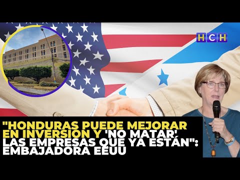Honduras puede mejorar en inversión y 'no matar' las empresas que ya están: Embajadora EEUU