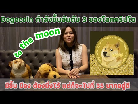 Dogecoin-กำลังขึ้นเป็นอันดับ-3 Dogecoin-กำลังขึ้นเป็นอันดับ-3