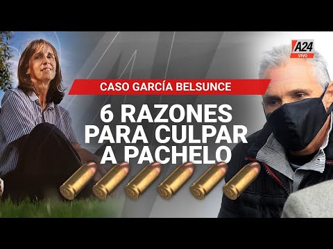 Caso Belsunce: 6 balas, 6 razones para culpara a Nicolás Pachelo  I A24