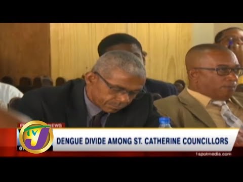 TVJ News: Dengue Divide Among St. Catherine Councillors - December 28 2019