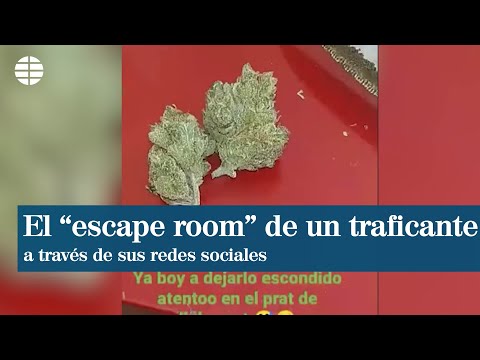 Los vídeos de las redes del traficante que escondía droga en parques para captar clientes