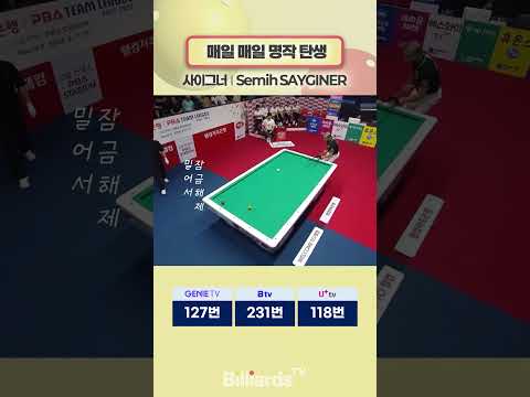 매일 매일 명작 탄생 #사이그너 #teamleague
