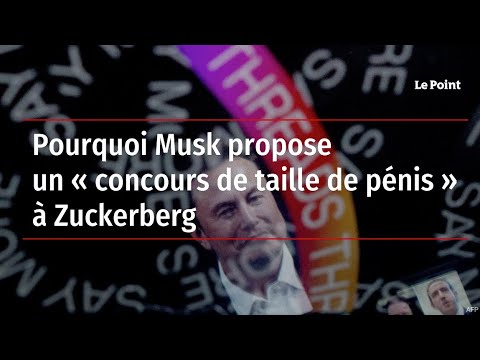 Pourquoi Musk propose un « concours de taille de pénis » à Zuckerberg