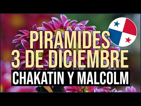 Pirámide Lotería de Panamá Domingo 3 de Diciembre 2023  - Pirámide de Chakatin y Malcolm Ramos