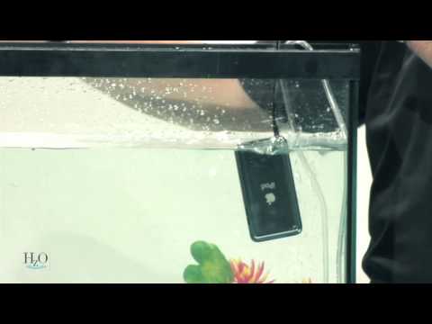 Video: Naujos technologijos - na nes žuvys irgi turi Ipod