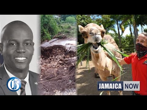 JAMAICA NOW: Haitian assassination | Zoo closure threat | $800m Elsa bill | Hairstyle controversy