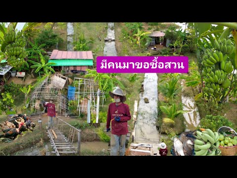 เกษตรพอเพียง๒ไร่👩‍🌾เริ่มจากเงิ