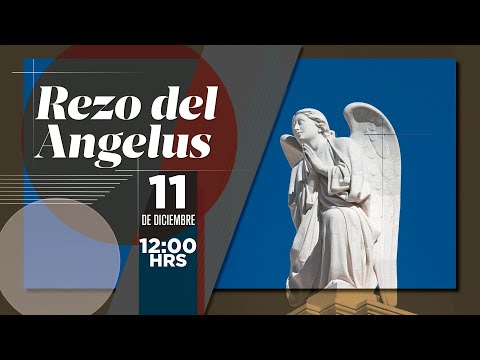 Ángelus, viernes 11 /12/2020