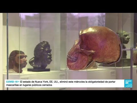Estudio arqueológico sitúa al Homo sapiens en Europa mucho antes de lo que se pensaba