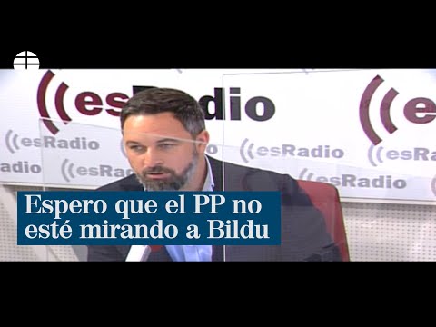Abascal: “Espero que el PP no esté mirando a Bildu y a Bruselas a la hora de decidir sus pactos”