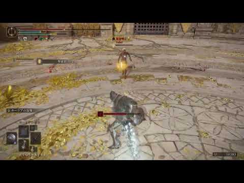 [エルデンリング]　侵入か闘技