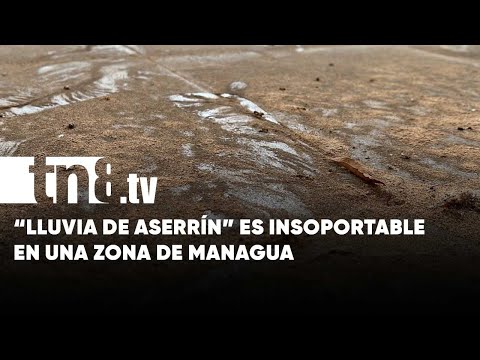 Pobladores de residencial en Managua no aguantan «lluvia de aserrín» - Nicaragua