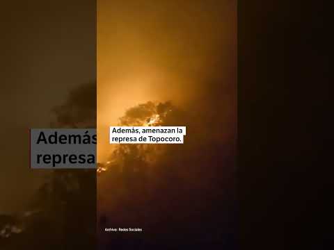Incendio forestal en Santander: cerca de 50 hectáreas afectadas | El Espectador
