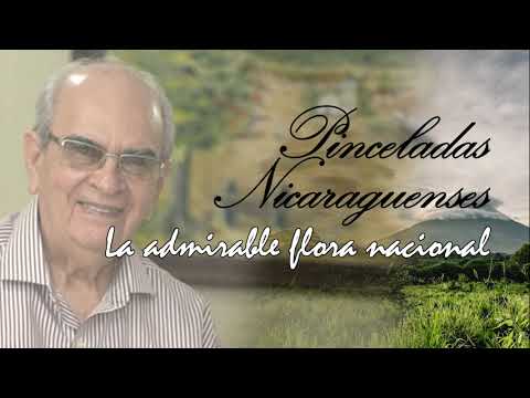 Pinceladas Nicaragüenses - La admirable flora nacional
