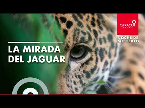 Noche de Misterio | La mirada del jaguar