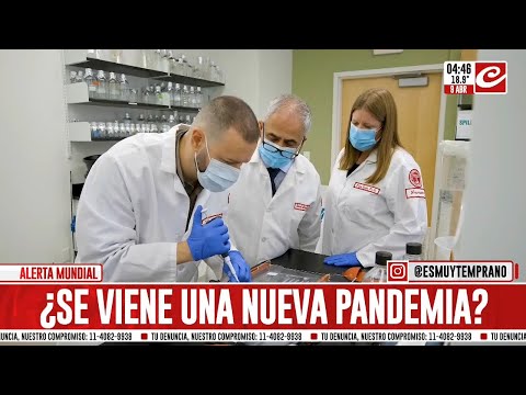 Alerta por el Virus B: ¿se viene una nueva pandemia?