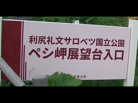 利尻島 ペシ岬 展望台
