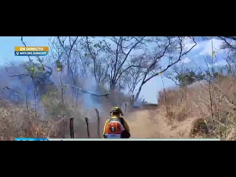 Incendio forestal en Santa Cruz de Guanacaste ya consumió 100 hectáreas