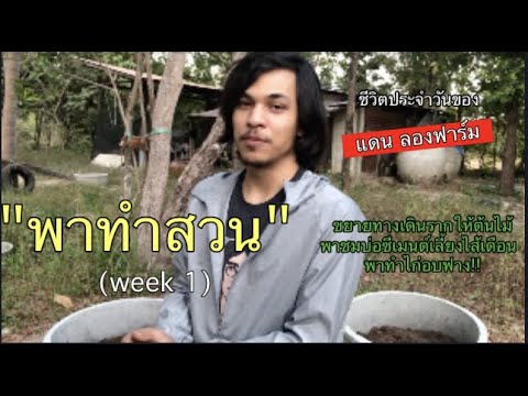 ต้นไม้ไม่โตเพราะไม่ได้ขยายทางเ