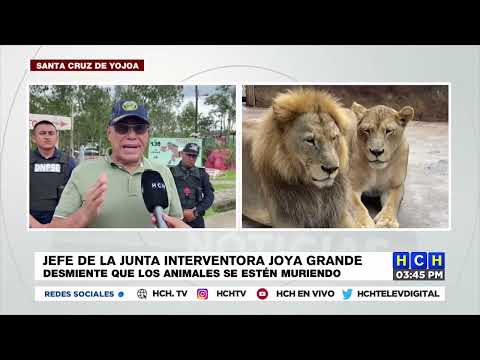 Jefe de la junta interventora del zoológico de Joya Grande desmiente rumores sobre los animales