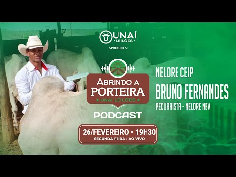 ABRINDO A PORTEIRA - BRUNO FERNANDES - PECUARISTA - NELORE NBV - #123 -26/02/2024