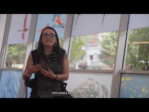 Taller del artista: Paola María Sánchez Gómez