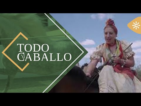 TodoCaballo |  El caballo, gran protagonista en el camino de la Hermandad Matriz de Almonte.