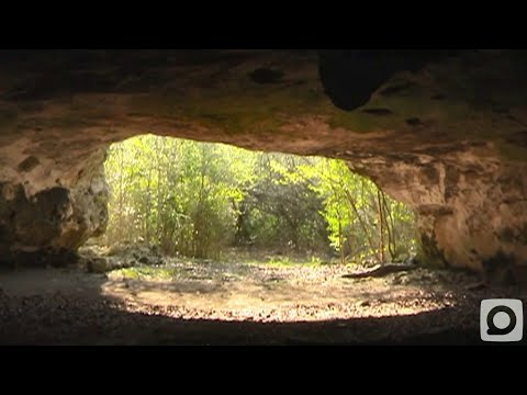 Celebran jornada por el centenario del descubrimiento de las cuevas de punta del este