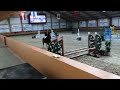 Show jumping horse Te koop: talentvolle 4jarige springruin