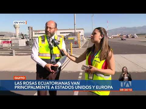 Empieza la temporada de carga de rosas ecuatorianas en el Aeropuerto Mariscal Sucre