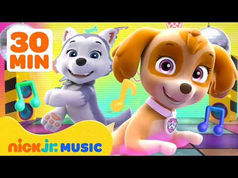 PAW Patrol Skye’s Ultimate Music Party Compilation! 🎉 | 30 Minutes | Nick Jr. Music