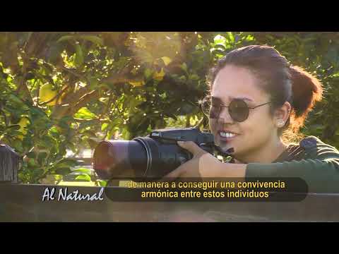 SNT Al Natural: San Carlos del Apa