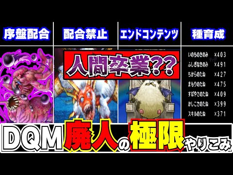 【やり込み】DQM廃人勢のやり込みをみなさんは知っていますか？？【極限】
