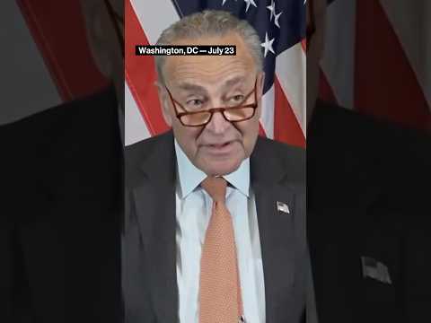 Schumer Pays Tribute to Biden: 'He's an Honorable Man'