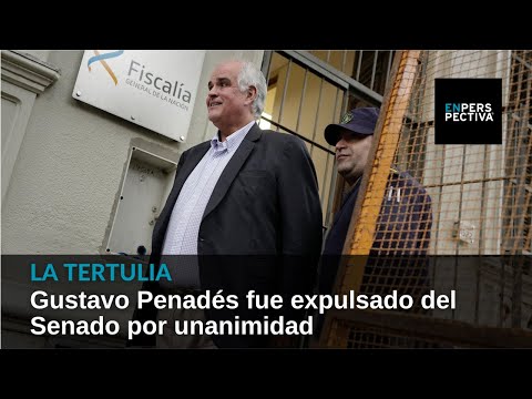 Gustavo Penadés fue expulsado del Senado por unanimidad