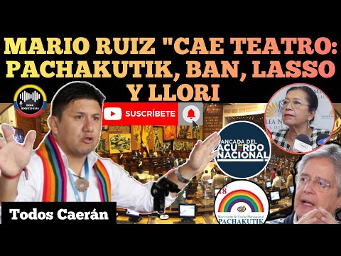 ASAMBLEISTA MARIO RUIZ SE C4E TEATRO PACHAKUTIK, EL BAN, LLORI Y LASSO EN ECUADOR RFE TV