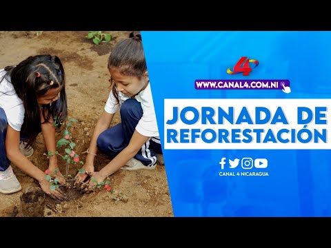 Estudiantes de Managua se unen en jornada de reforestación para cuidar el medio ambiente