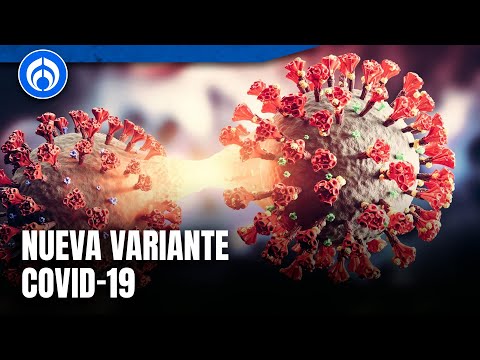 ¿Qué debes saber sobre la nueva variante de COVID-19 MV.1?