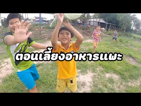 ตอนพาเลี้ยงอาหารเเพะ ตอนพาเลี้ยงอาหารเเพะ