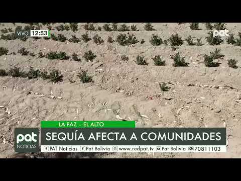 Las sequías golpearon duramente a comunidades de La Paz.