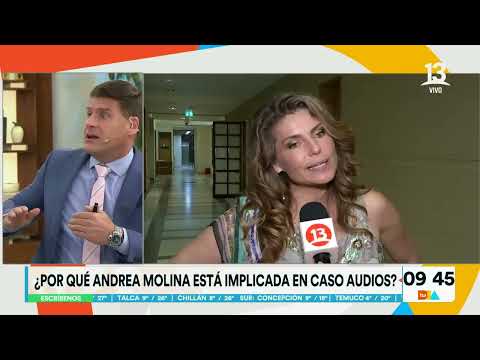 ¿Por qué Andrea Molina está implicada en caso audio? | Tu Día | Canal 13